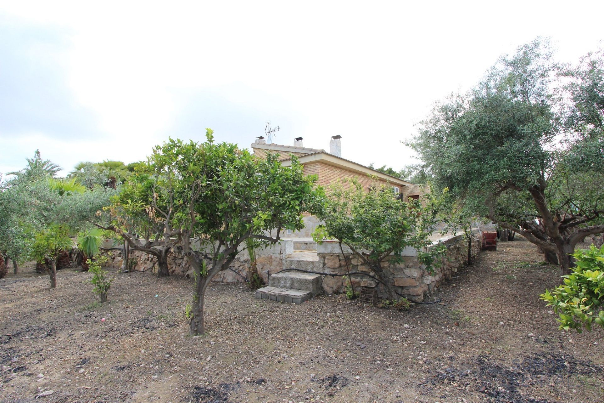 Villa Paraíso - El Altet photograph 22