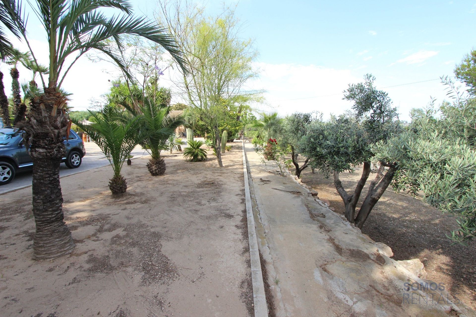 Villa Paraíso - El Altet photograph 37
