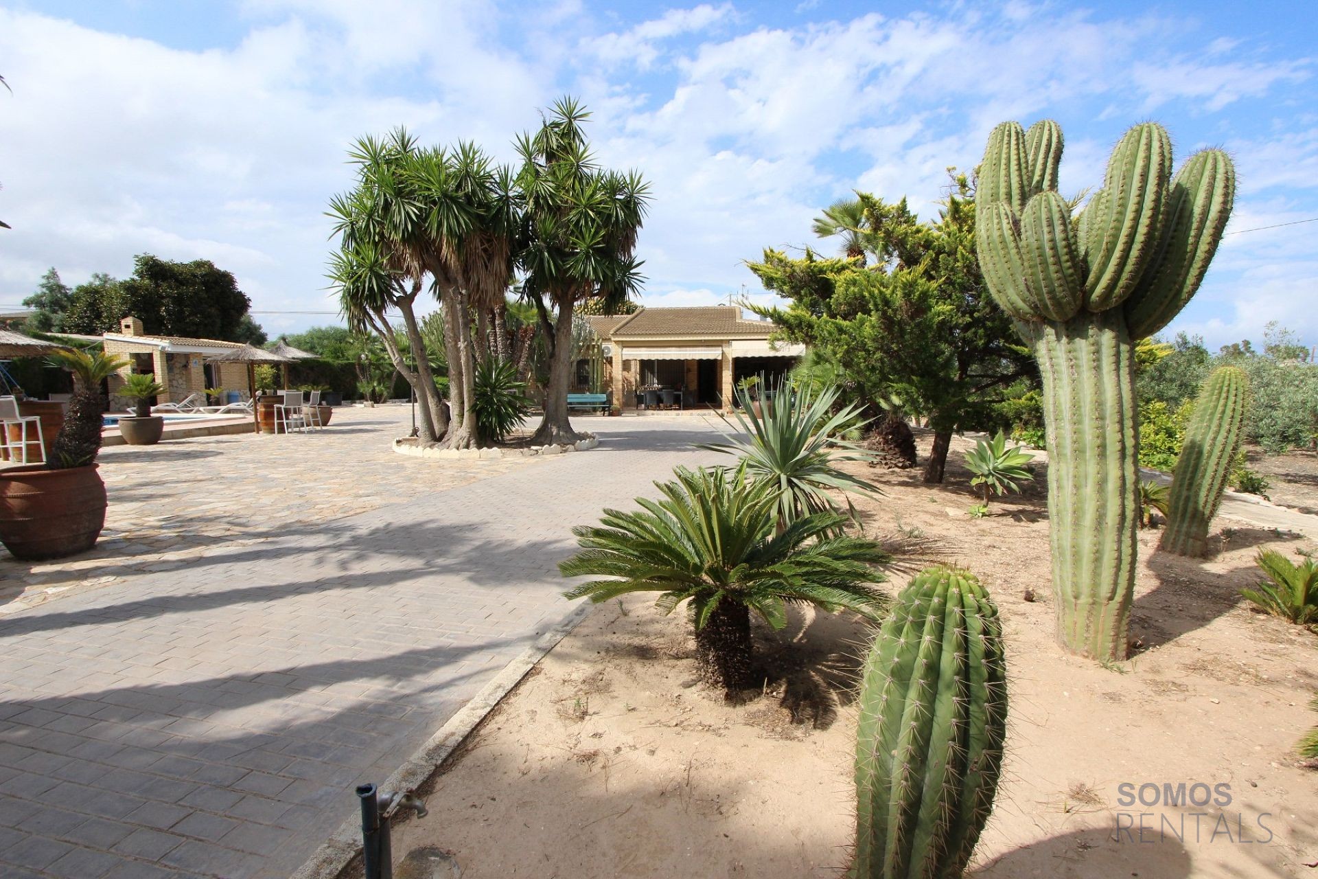 Villa Paraíso - El Altet photograph 24