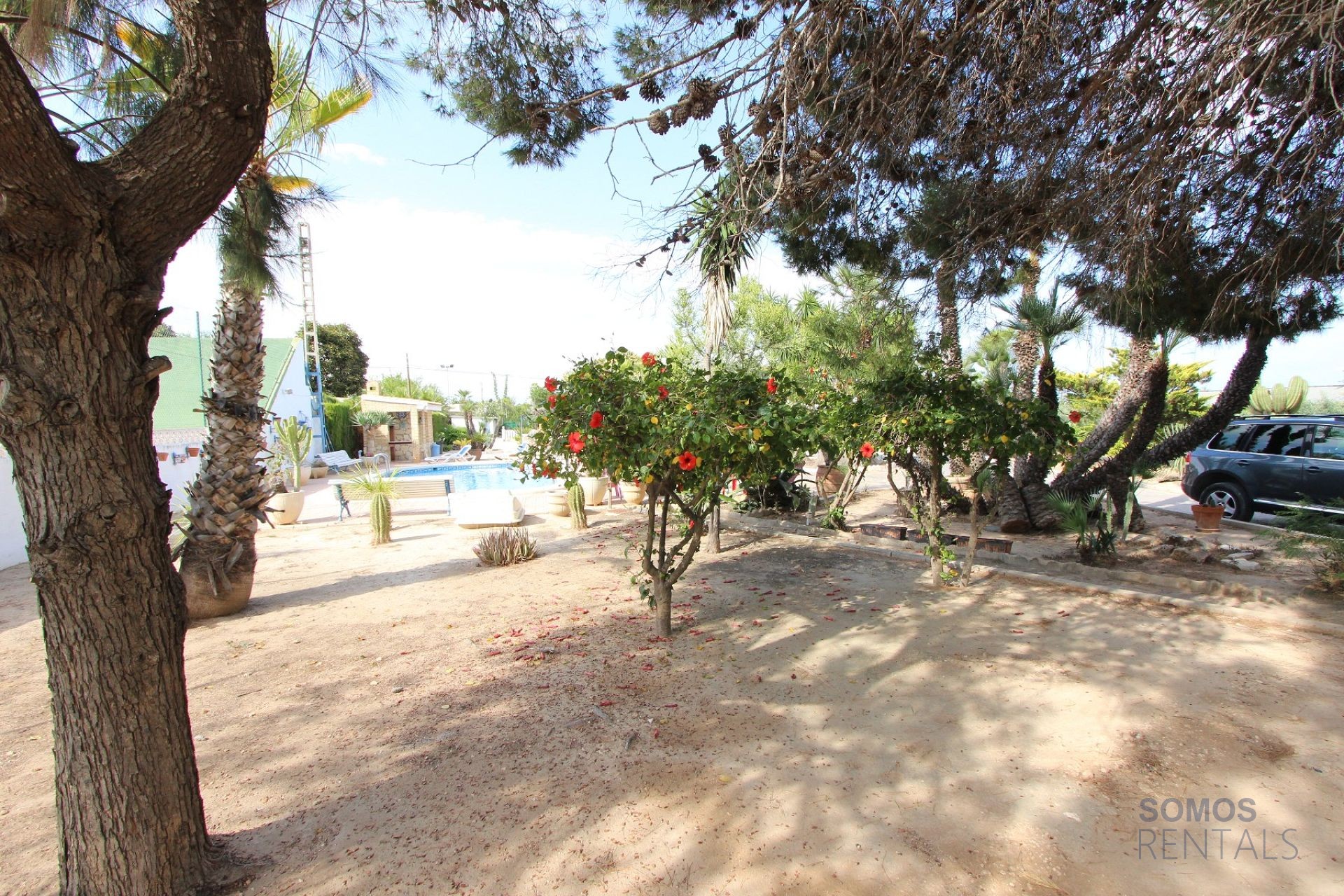 Villa Paraíso - El Altet photograph 36
