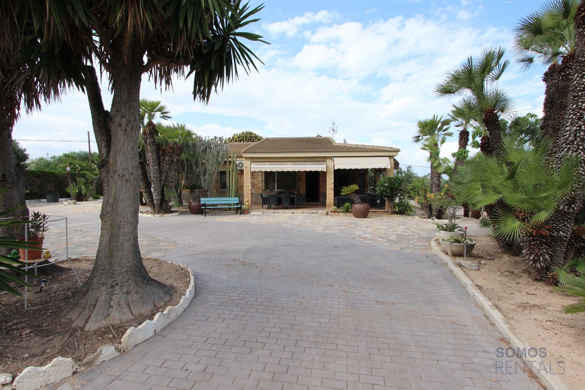 Villa Paraíso - El Altet photograph 25
