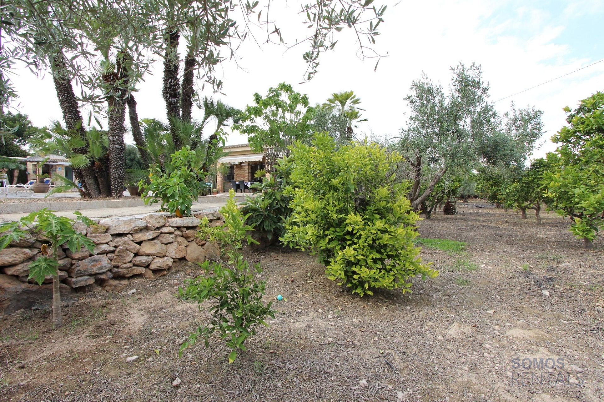 Villa Paraíso - El Altet photograph 20