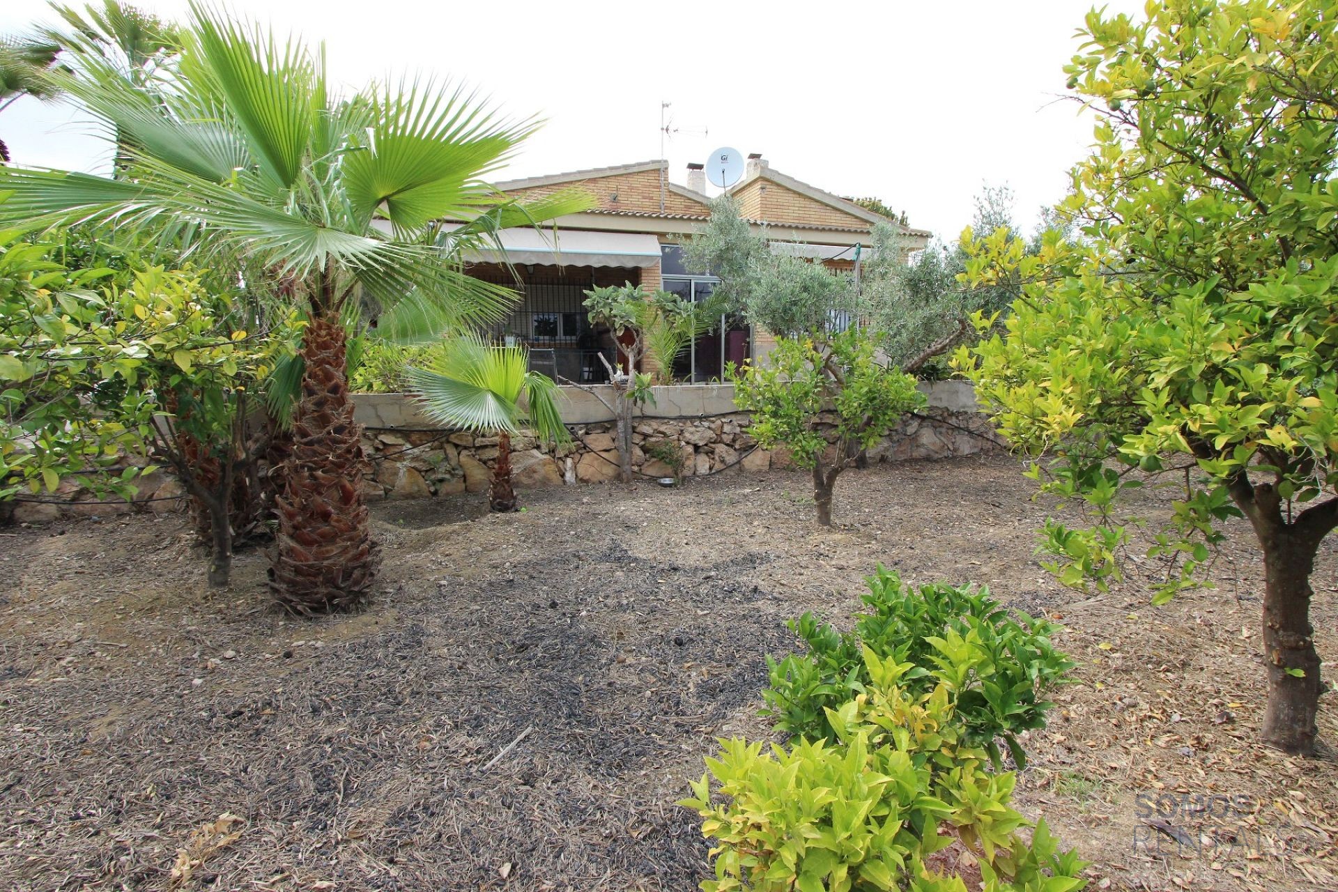Villa Paraíso - El Altet photograph 21