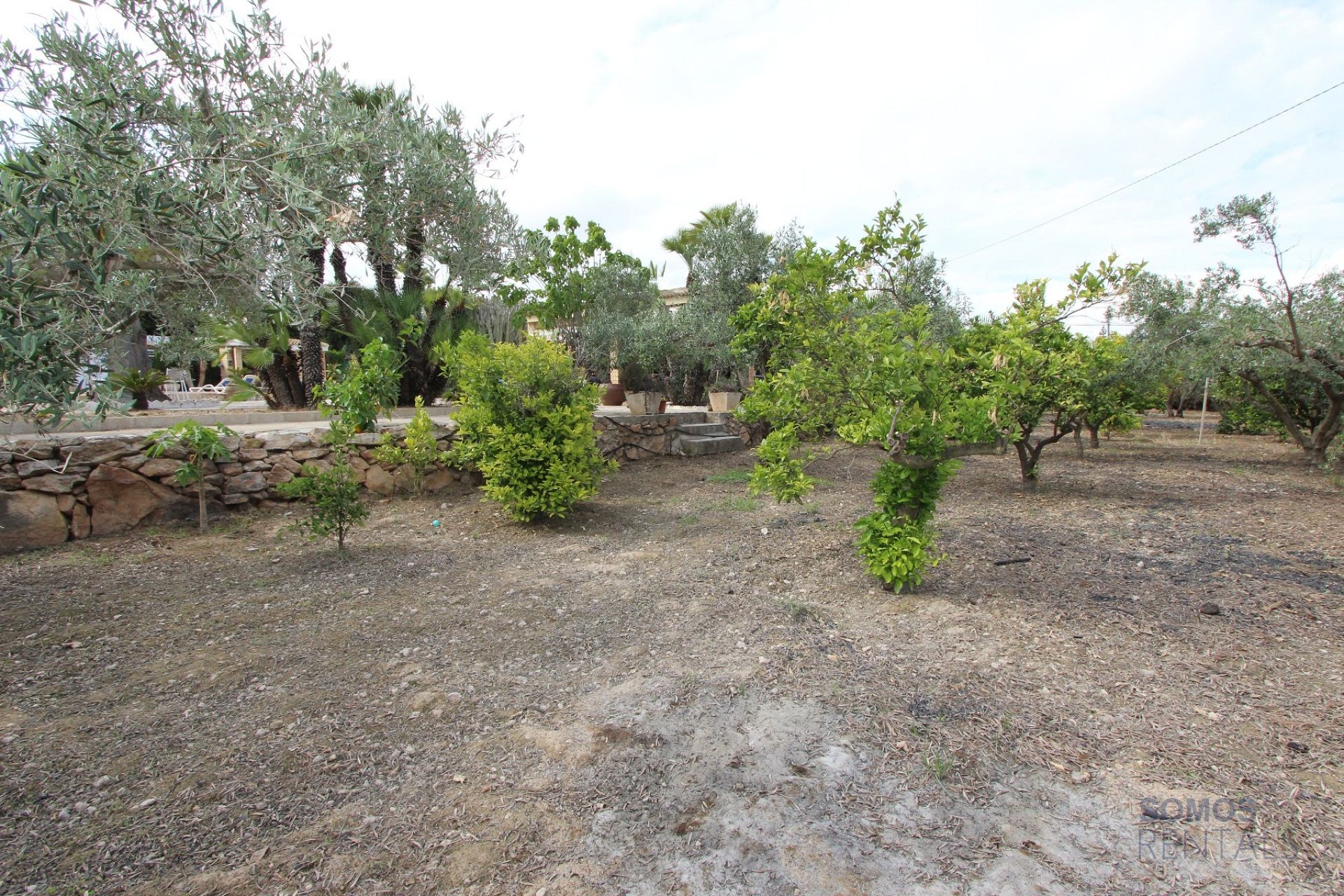 Villa Paraíso - El Altet photograph 19
