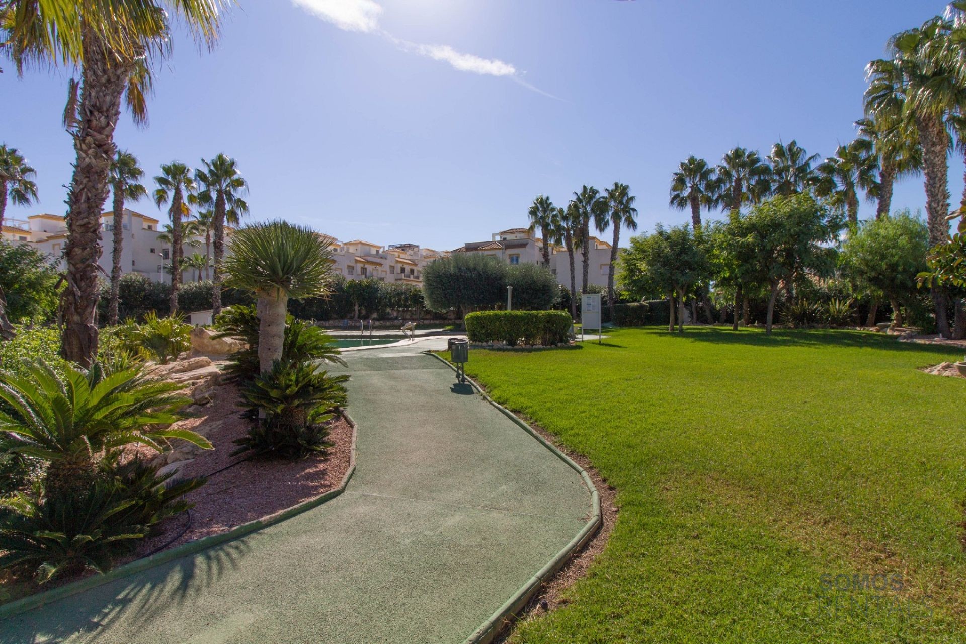 Casa Tropical - Gran Alacant photograph 29