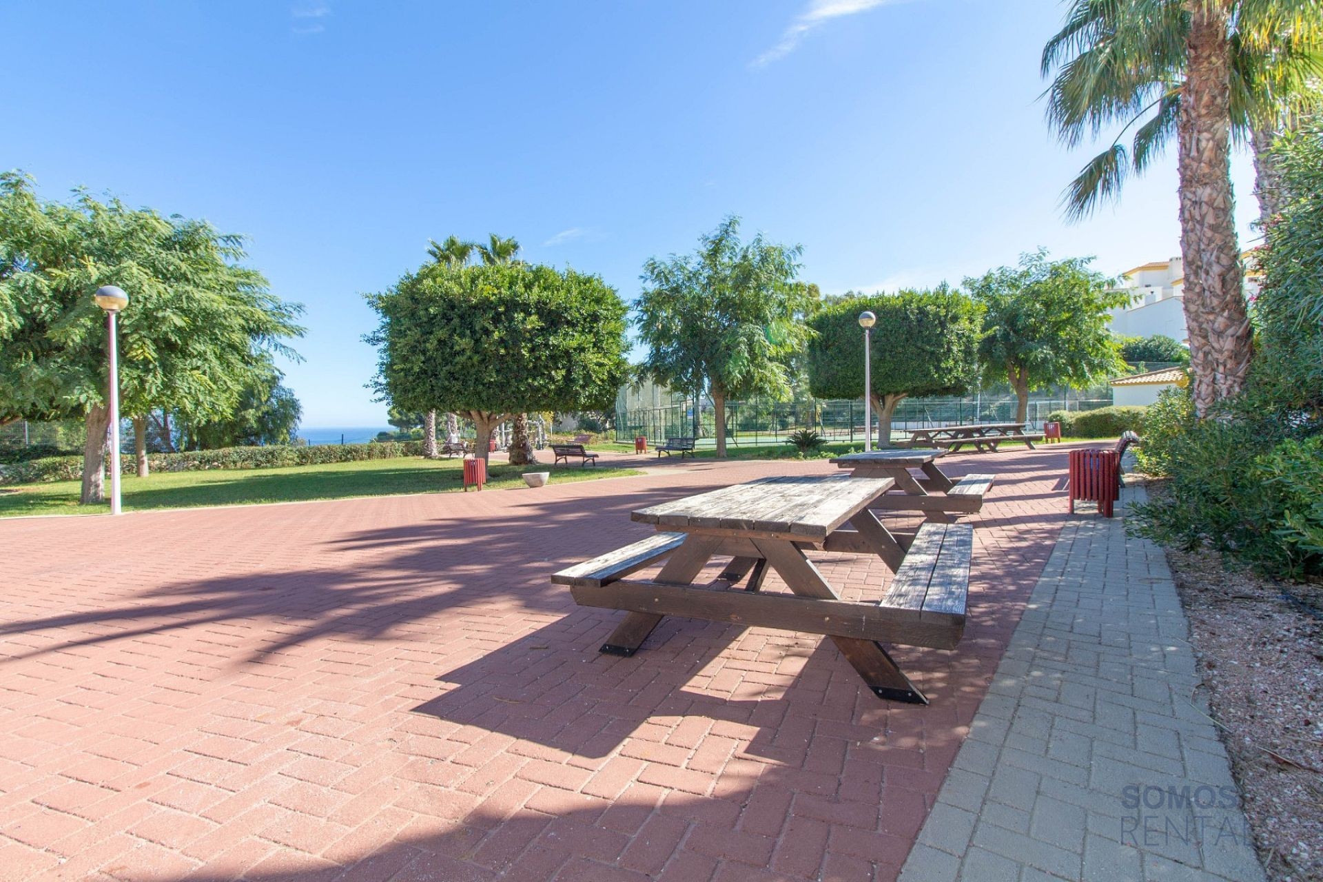Casa Tropical - Gran Alacant photograph 33