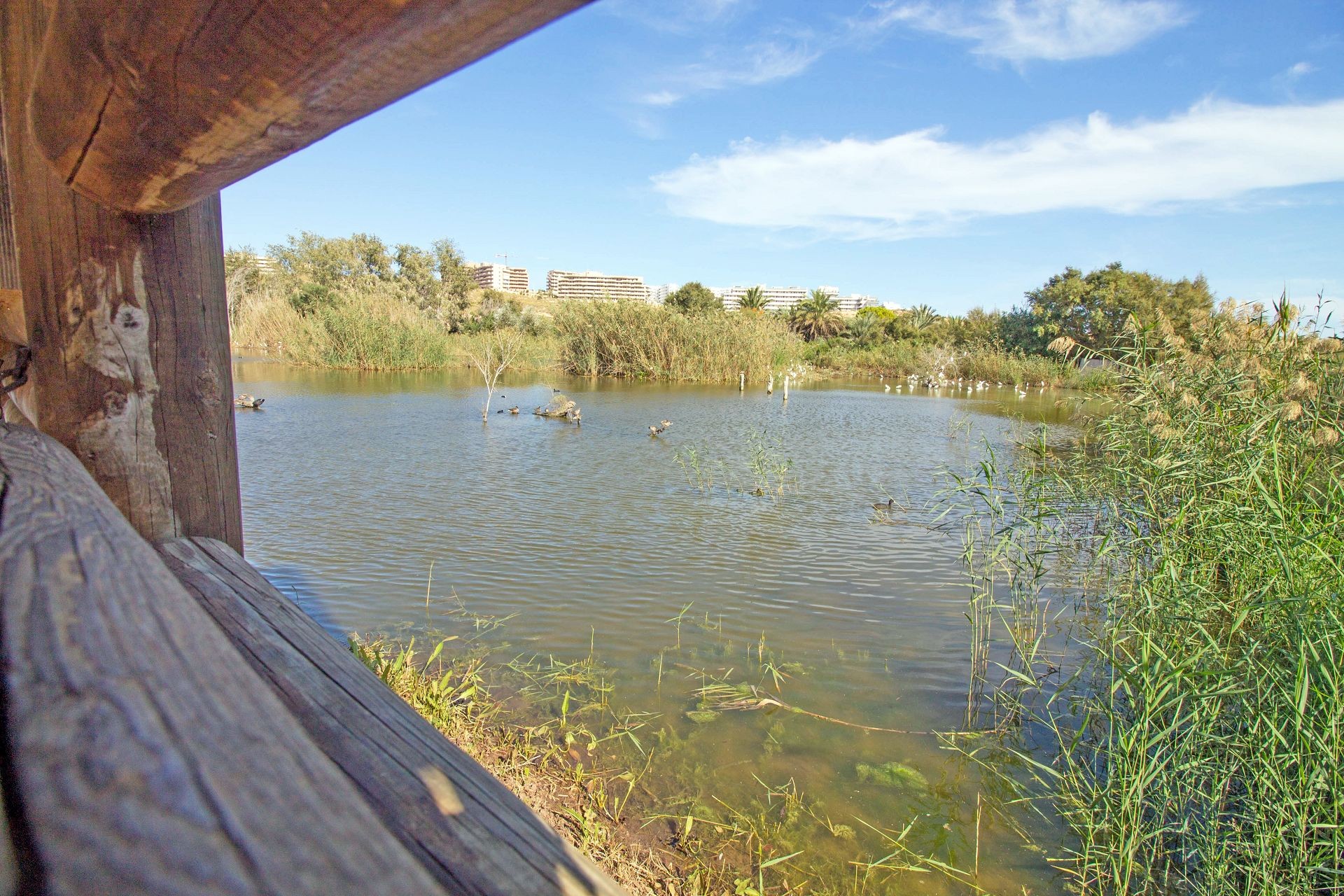 Casa Galvany - Gran Alacant photograph 47