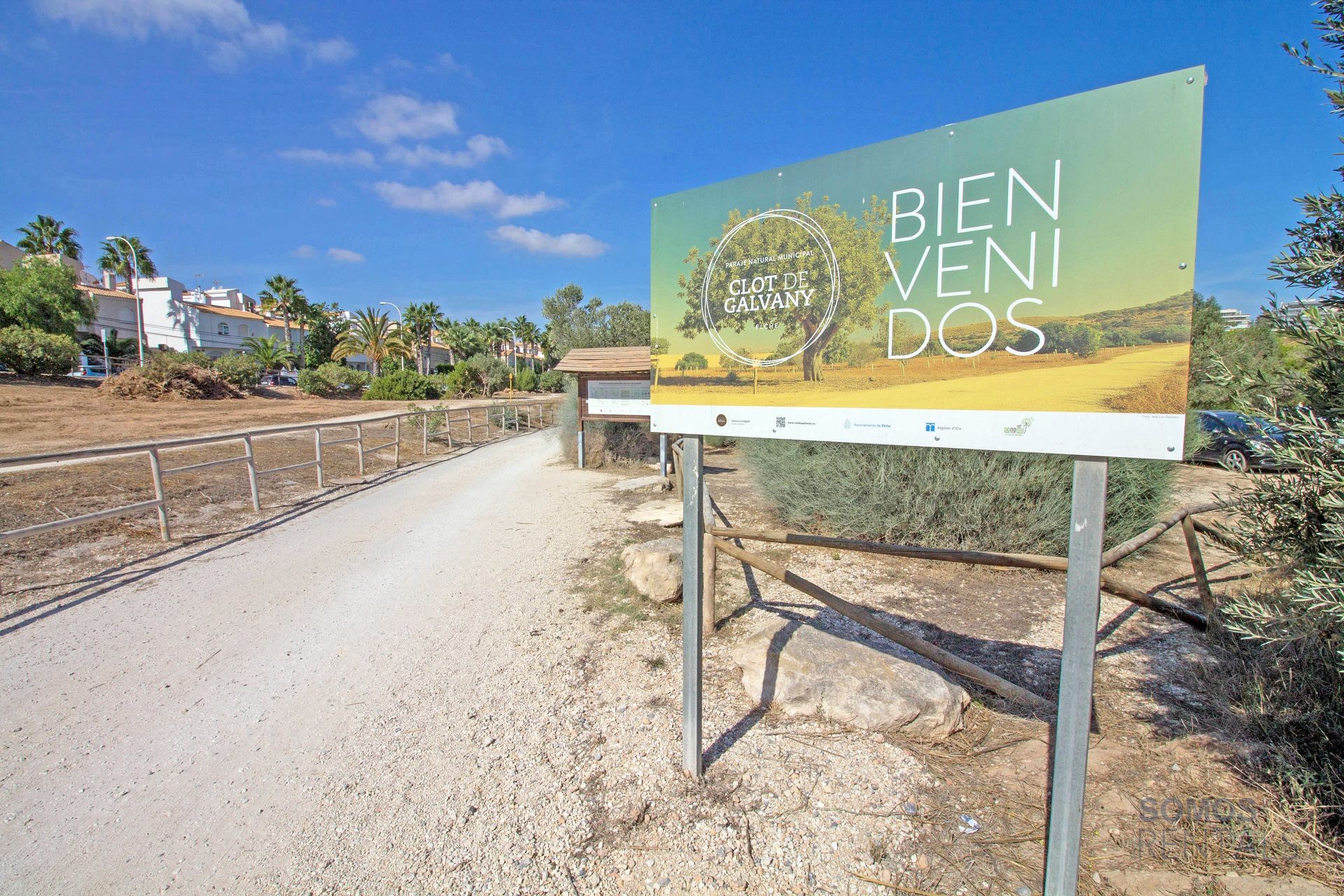 Casa Jardin Salamandra - Gran Alacant photograph 65