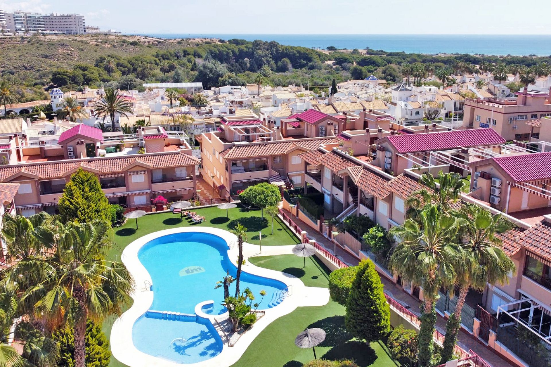 Casa Jardin Salamandra - Gran Alacant photograph 57