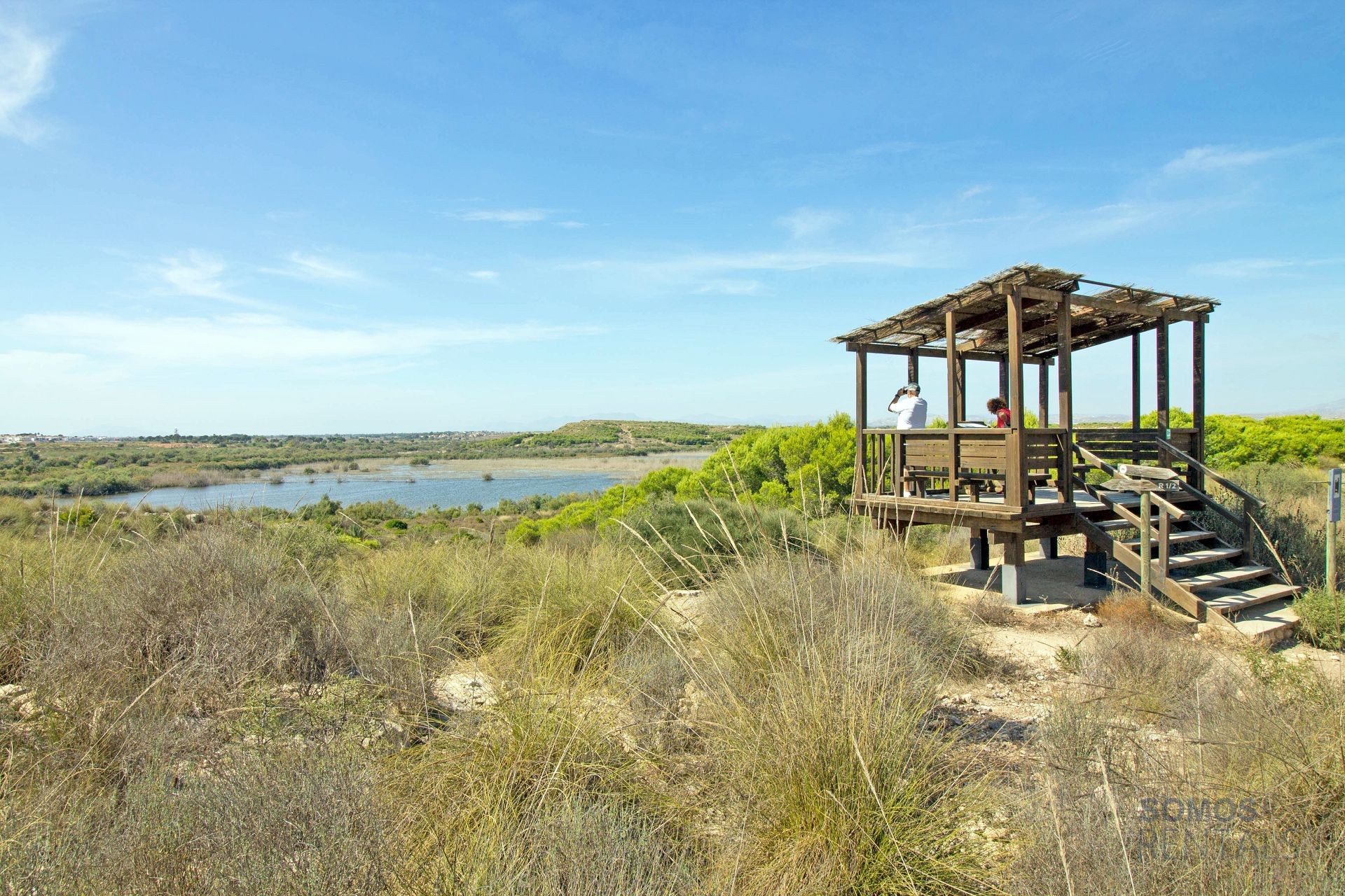 Casa Jardin Salamandra - Gran Alacant photograph 67
