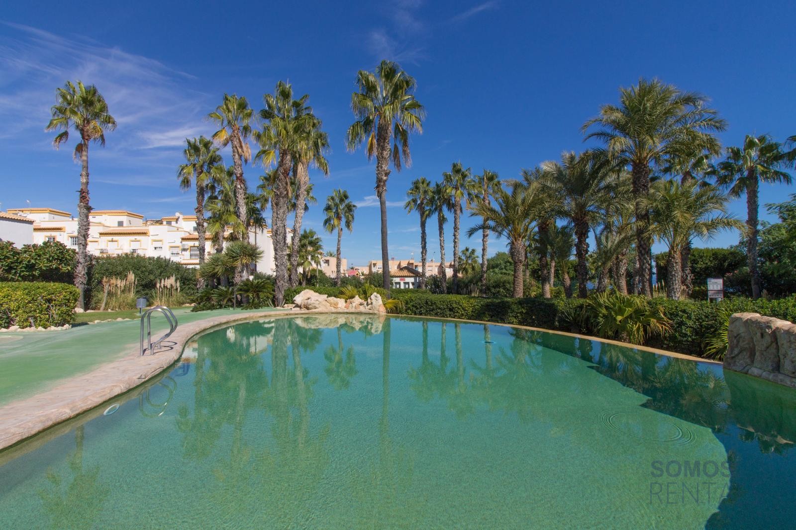 Casa Limonero - Gran Alacant photograph 40