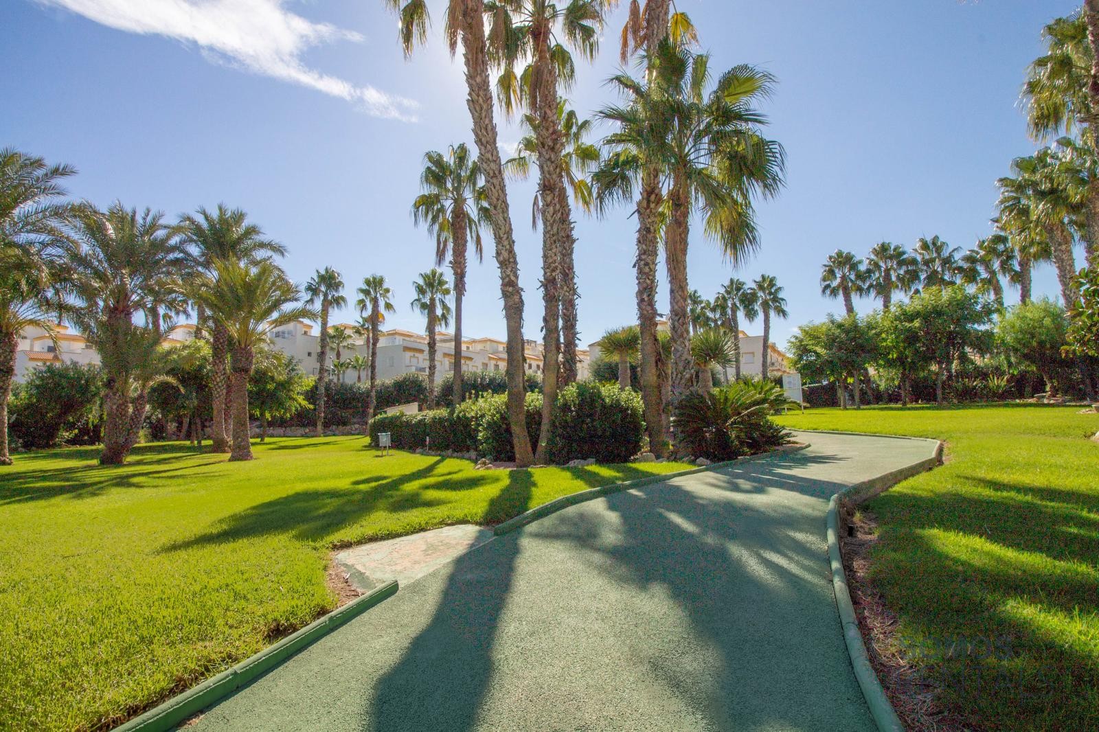 Casa Limonero - Gran Alacant photograph 45