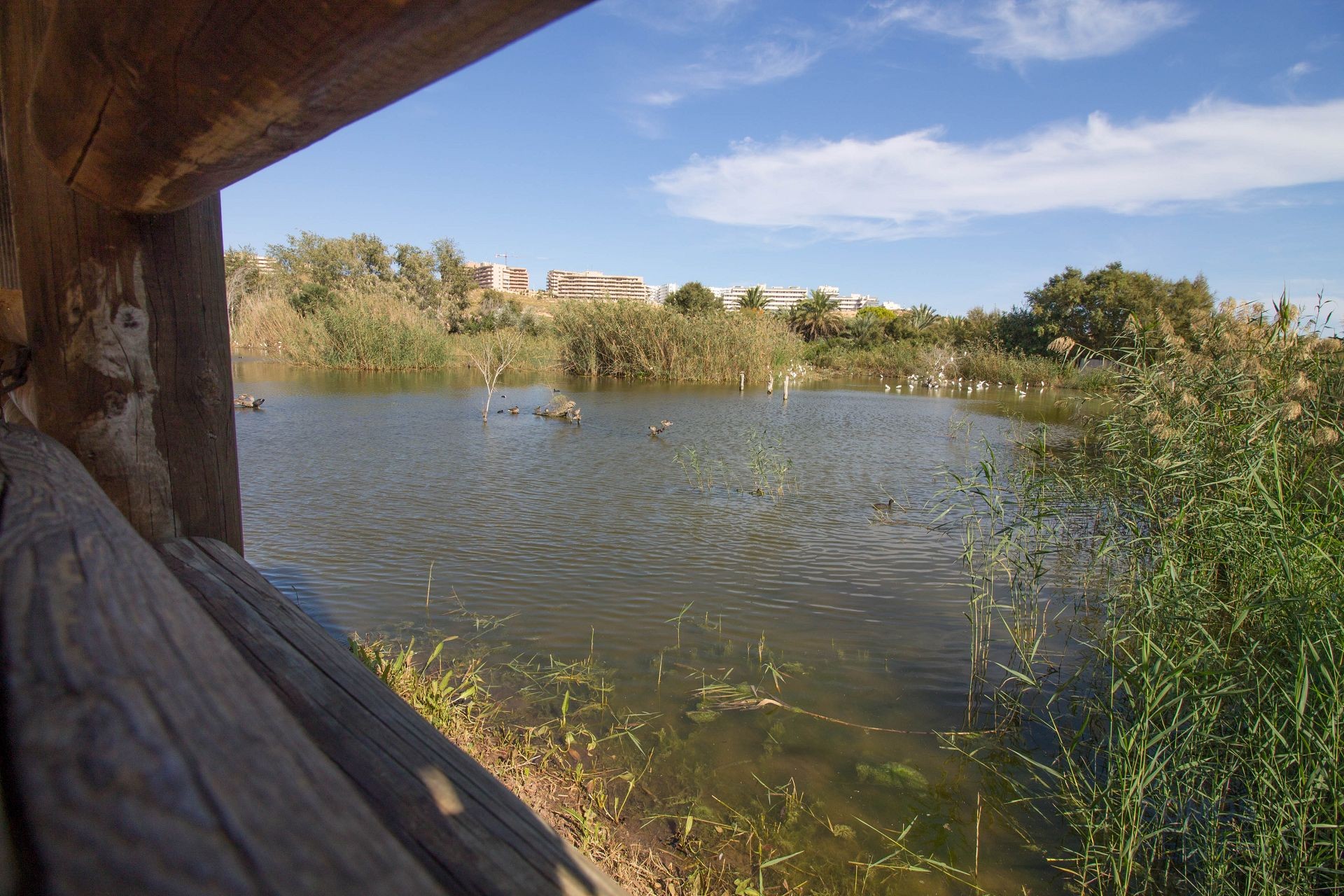 Casa Rosa - Gran Alacant photograph 53