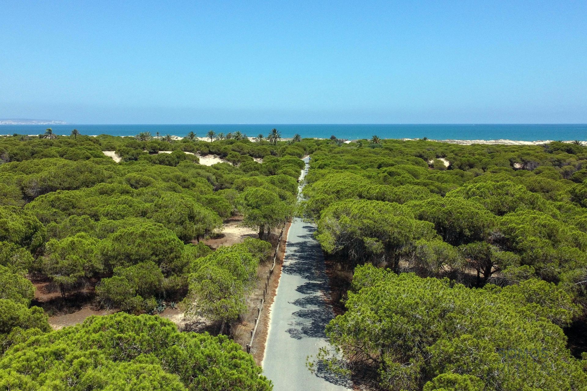 Villa Rosa - Urb La Marina photograph 40