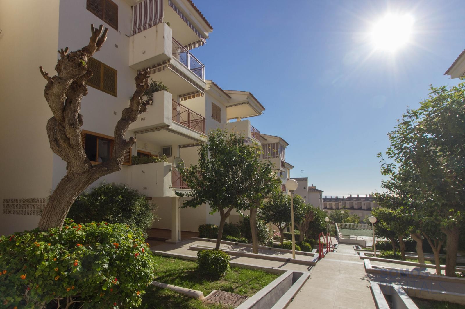 Apartamento Malaga - Santa Pola photograph 33