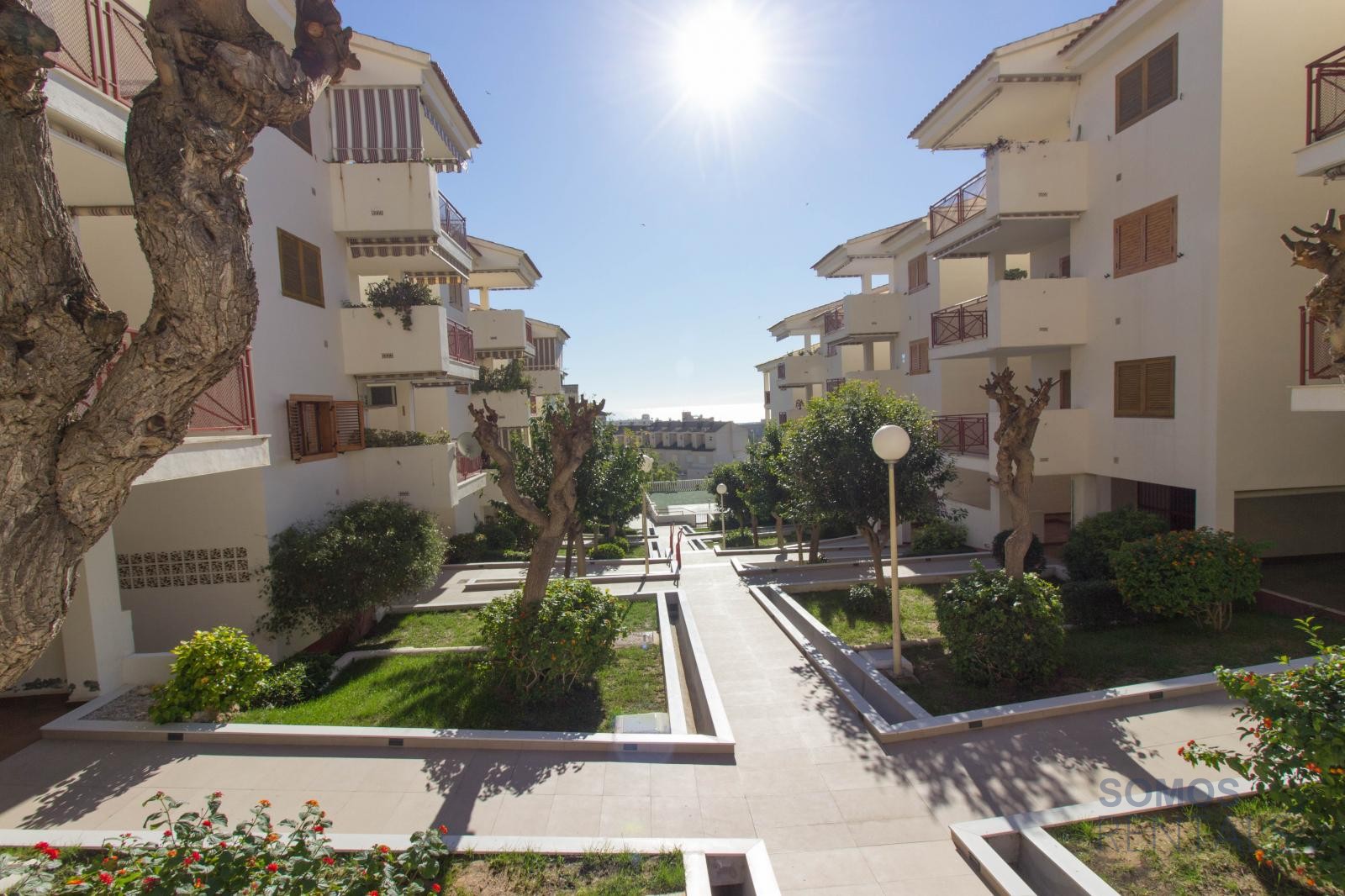 Apartamento Malaga - Santa Pola photograph 34