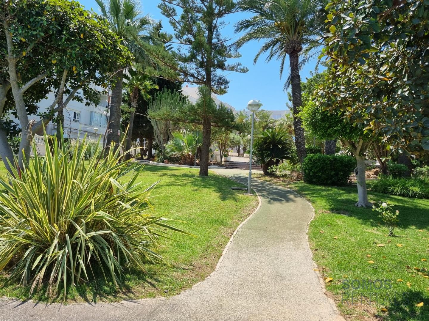 Apartamento Blue Skies - Gran Alacant photograph 37