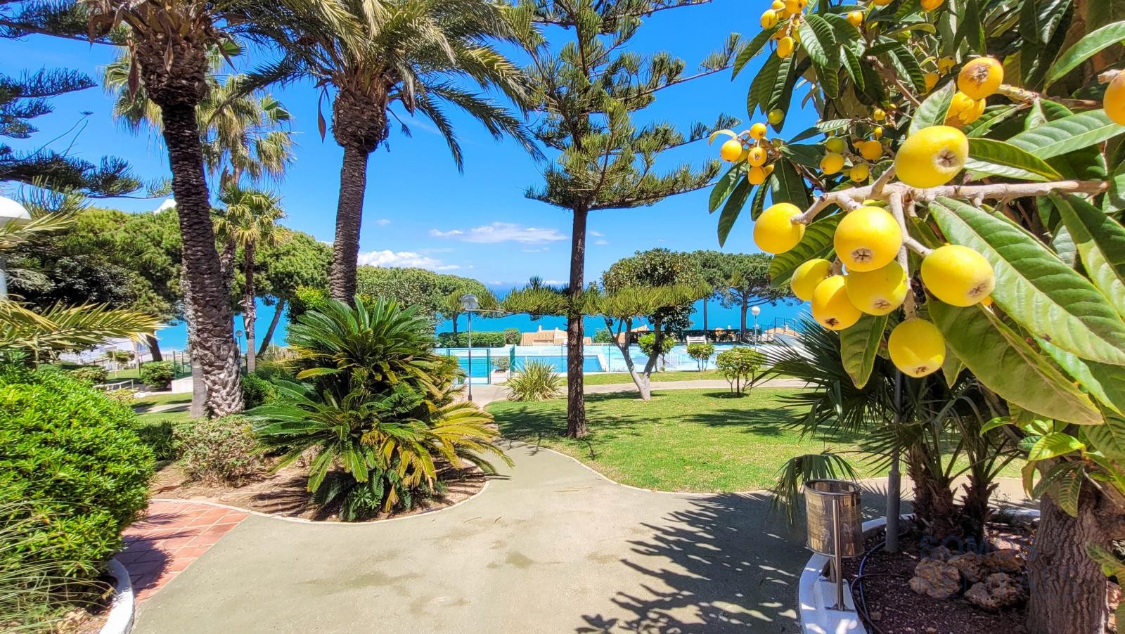 Apartamento Panorama - Gran Alacant photograph 47